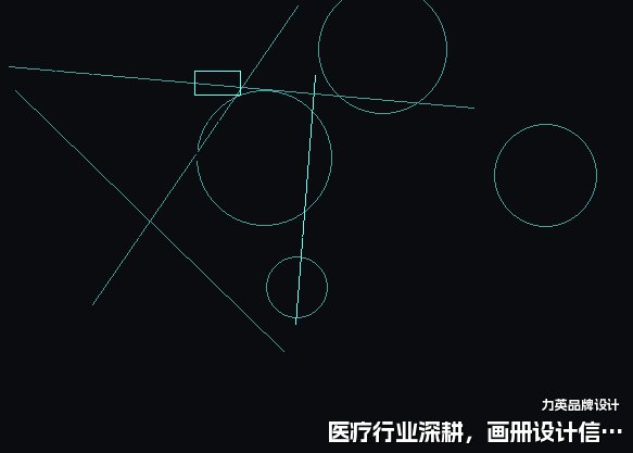 医疗行业深耕,画册设计信任感塑造。